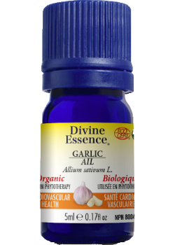 Garlic Oil (Organic) - 5ml