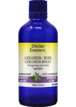 Geranium Rose Oil (Egypt) - 100ml