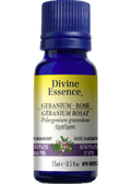 Geranium Rose Oil (Egypt) - 15ml