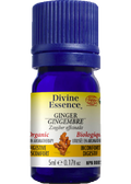 Ginger Oil (Organic) - 5ml