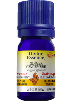 Ginger Oil (Organic) - 5ml