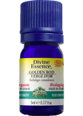 Golden Rod Oil (Organic) - 5ml