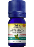 Guava Oil (Leaves, Organic) - 5ml