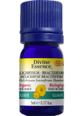 Helichrysum Oil (Bracteiferum, Organic) - 5ml