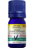 Hyssop Oil (1.8 Cineole, Organic) - 5ml