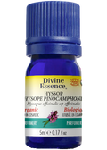 Hyssop Oil (Pinocamphone, Organic) - 5ml