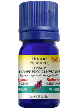 Hyssop Oil (Pinocamphone, Organic) - 5ml