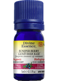 Juniper Berry Oil (Organic) - 5ml