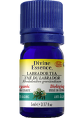Labrador Tea Oil (Organic) - 5ml