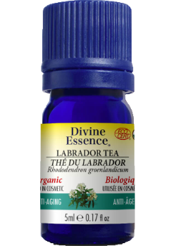 Labrador Tea Oil (Organic) - 5ml