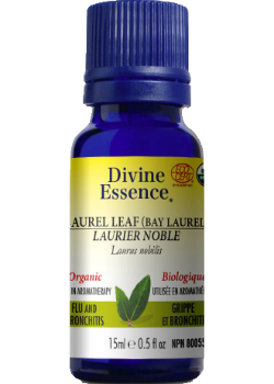 Laurel Leaf Oil (Bay Laurel, Organic) - 15ml