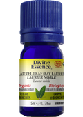Laurel Leaf Oil (Bay Laurel, Organic) - 5ml