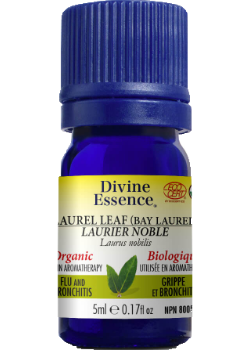 Laurel Leaf Oil (Bay Laurel, Organic) - 5ml