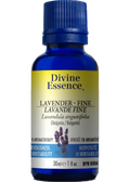 Lavender Oil (Fine) - 30ml