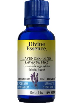 Lavender Oil (Fine) - 30ml