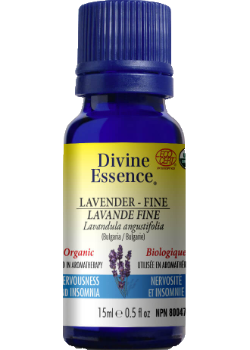 Lavender Oil (Fine, Organic) - 15ml