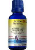 Lavender Oil (Fine, Organic) - 30ml