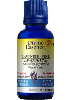 Lavender Oil (Fine, Organic) - 30ml