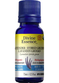 Lavender Oil (Hybrid Grosso, Organic) - 15ml