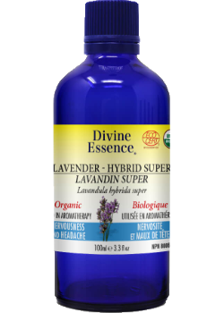 Lavender Oil (Hybrid Super, Organic) - 100ml