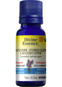 Lavender Oil (Hybrid Super, Organic) - 15ml
