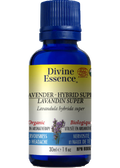 Lavender Oil (Hybrid Super, Organic) - 30ml