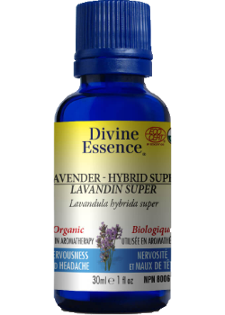 Lavender Oil (Hybrid Super, Organic) - 30ml