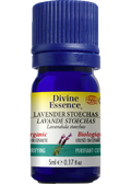 Lavender Oil (Stoechas, Organic) - 5ml