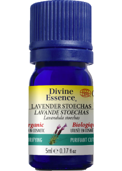 Lavender Oil (Stoechas, Organic) - 5ml