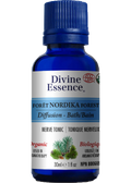 Nordika Forest Oil (Organic) - 30ml