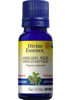 Oregano Oil (Wild, Organic) - 15ml