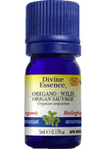 Oregano Oil (Wild, Organic) - 5ml