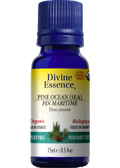 Pine Ocean Oil (Sea, Organic) - 15ml