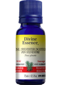 Pine Oil (Sylvester Scotch, Wild) - 15ml