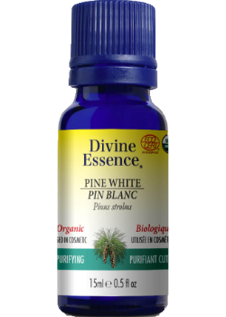 Pine Oil (White, Organic) - 15ml