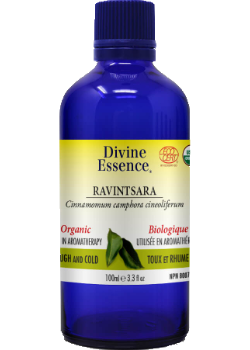 Ravintsara Oil (Organic) - 100ml