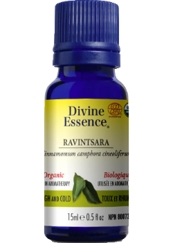 Ravintsara Oil (Organic) - 15ml