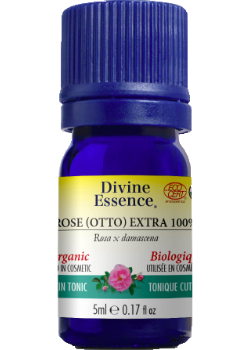 Rose Oil (Otto Extra 100%, Organic) - 5ml