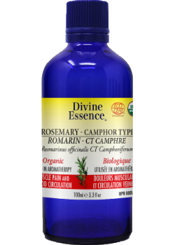 Rosemary Oil (Camphor Type, Organic) - 100ml