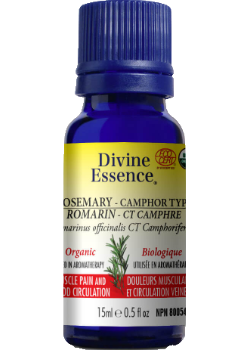 Rosemary Oil (Camphor Type, Organic) - 15ml