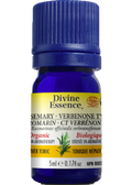 Rosemary Oil (Verbenone Type, Organic) - 5ml