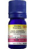 Sage Oil (Common, Organic) - 5ml