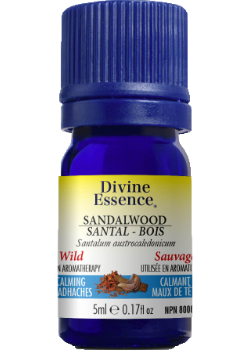 Sandalwood Oil (South Pacific, Wild) - 5ml