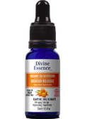 Seabuckthorn Oil (Organic) - 15ml