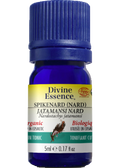 Spikenard Oil (Nard, Organic) - 5ml