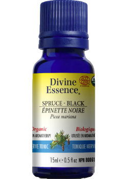 Spruce Oil (Black, Organic) - 15ml