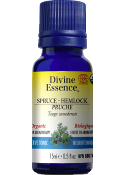 Spruce Oil (Hemlock, Organic) - 15ml