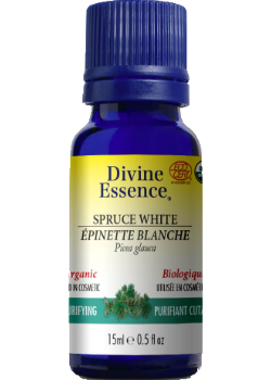 Spruce Oil (White, Organic) - 15ml