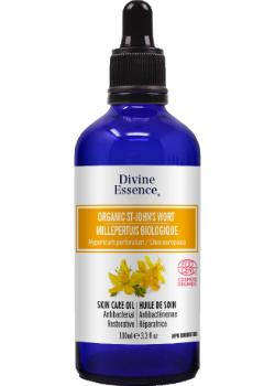 St. John's Wort Oil (Organic) - 100ml