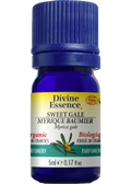 Sweet Gale Oil (Organic) - 5ml
